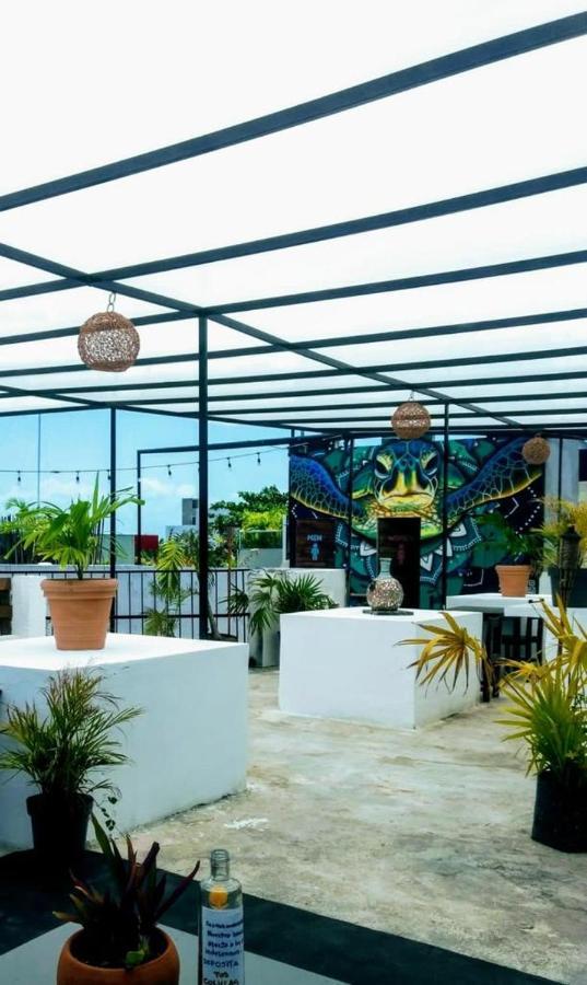 La izsla playa del carmen Hotel Exterior foto